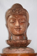 T�te de Bouddha sur fleur de Lotus