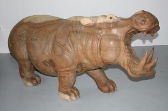 Rhinocéros