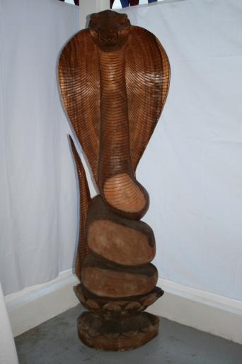 cobra royal