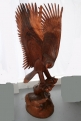 Golden Eagle