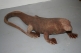 Varan komodo
