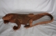 Varan de komodo